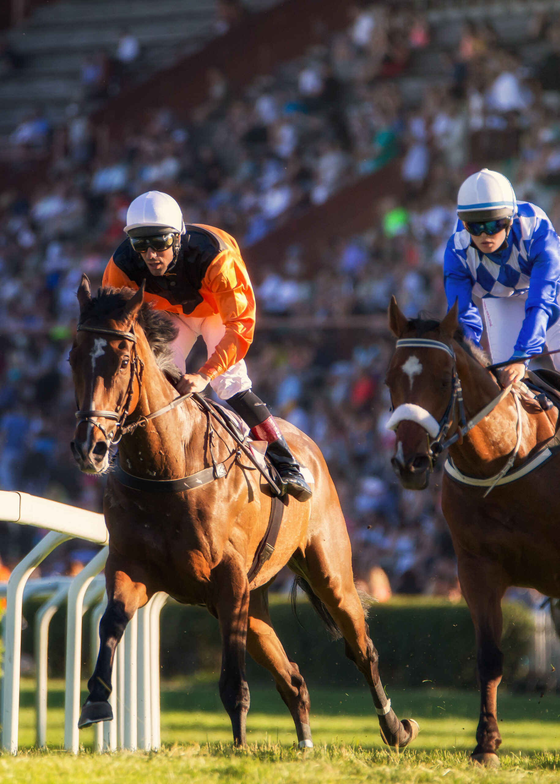 Two jockeys during horse races on his horses going towards finis