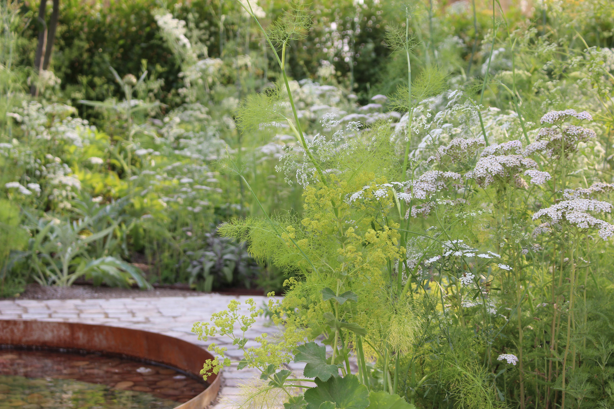 Chelsea-South-Kensington-Area-Guide-Flower-Show