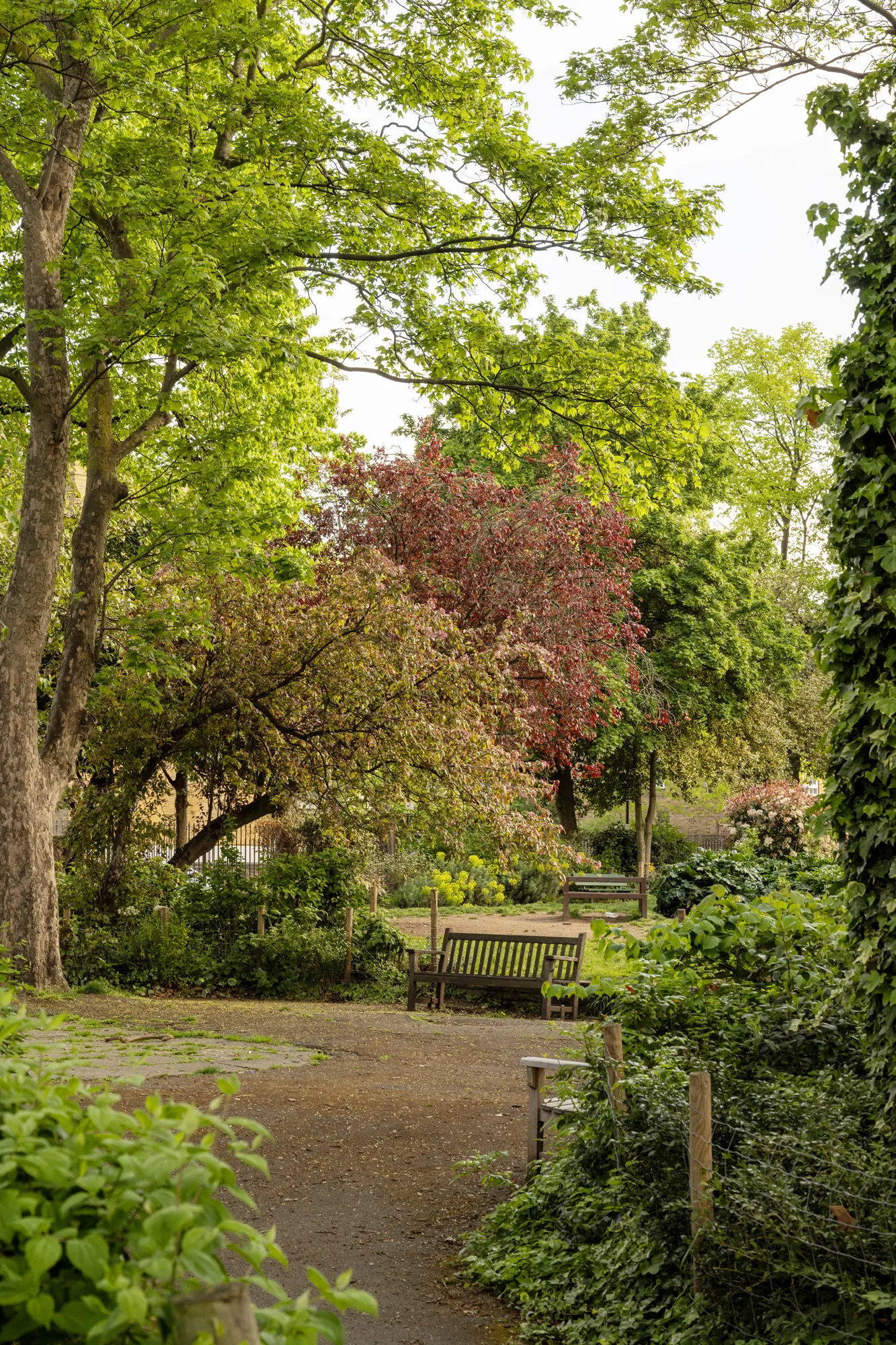 Barnsbury-Apartment-For-Rent-Barnsbury-Square-15_Lo