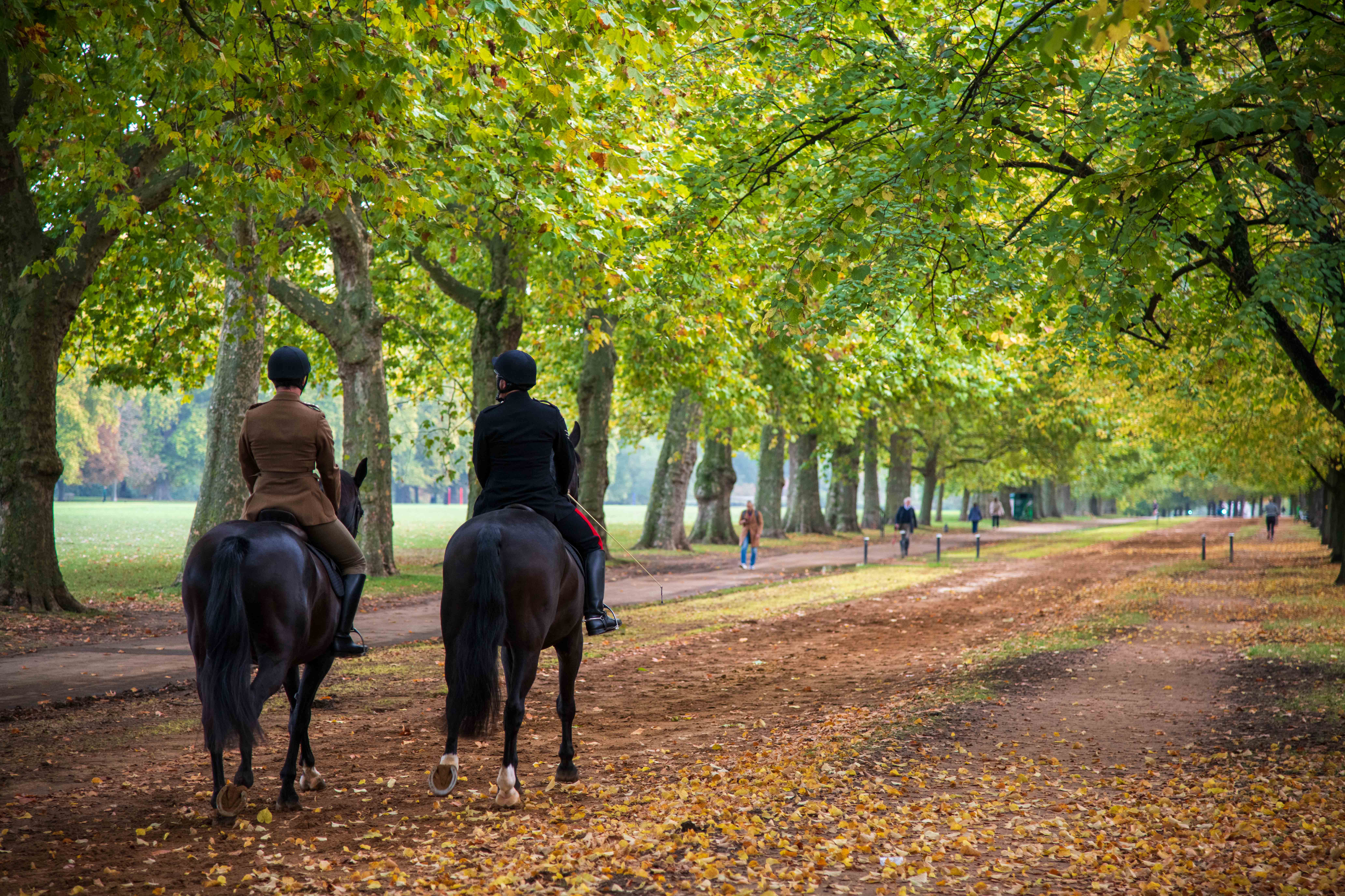 Horse riders in London Hyde Park