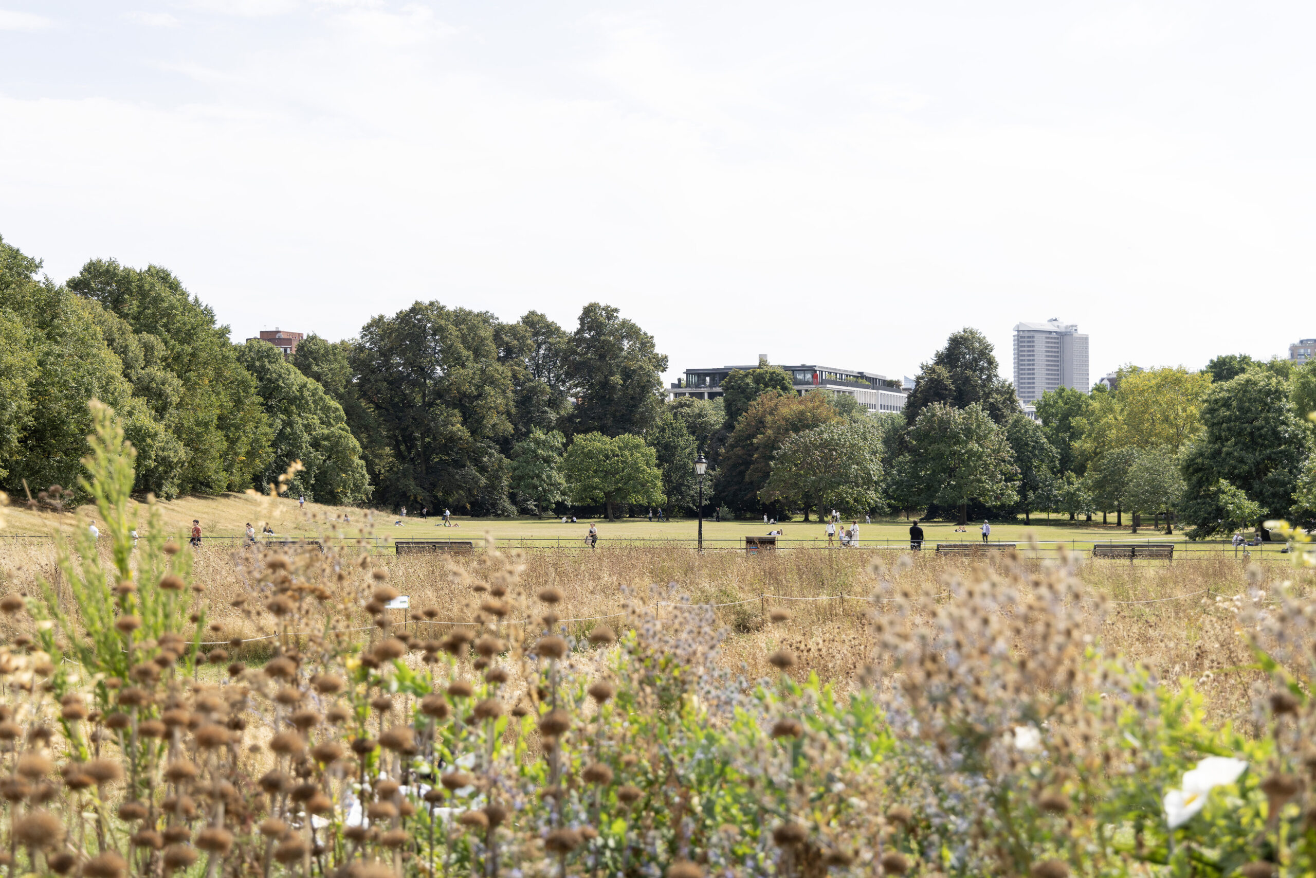 Bayswater-Hyde-Park-Area-Guide (10)
