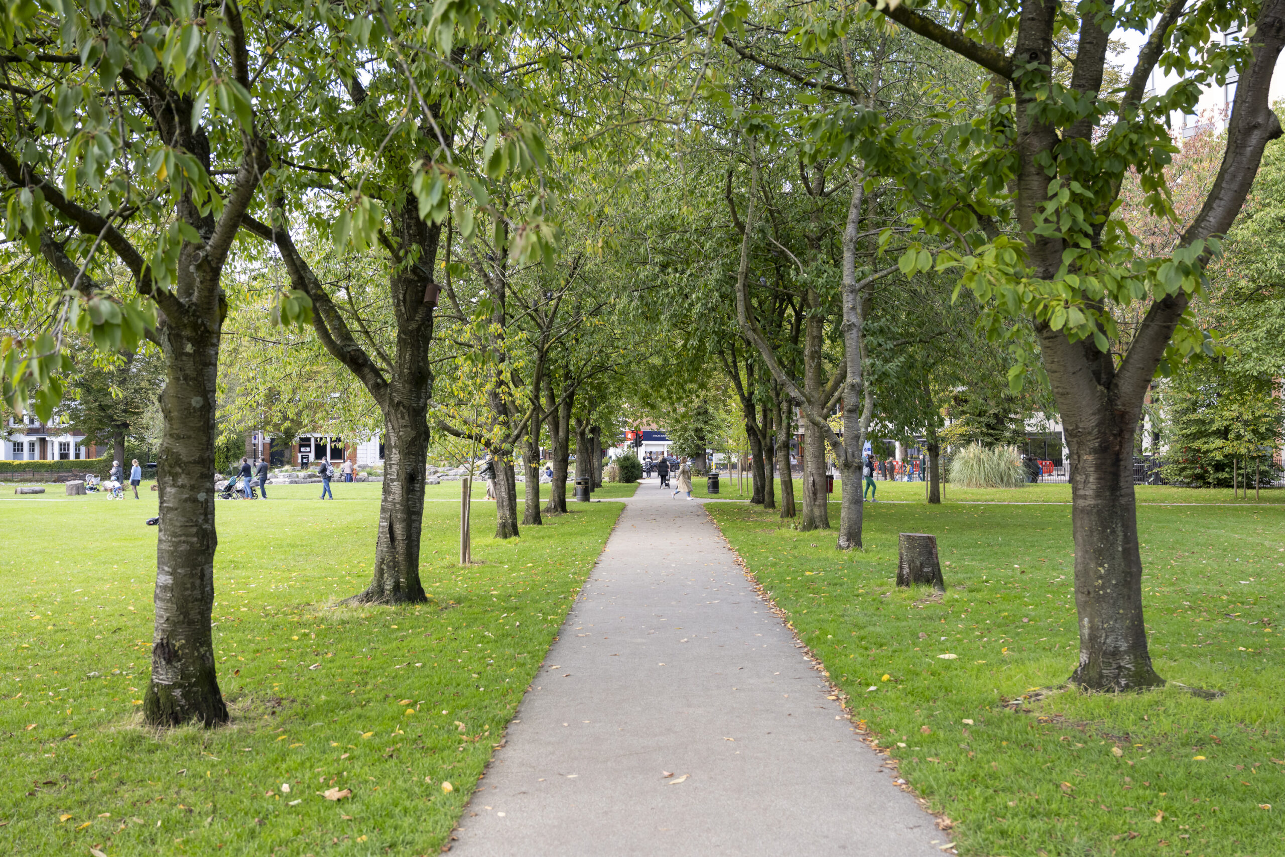 Chiswick-Area-Guide-Best-Park-Chiswick-House (46)