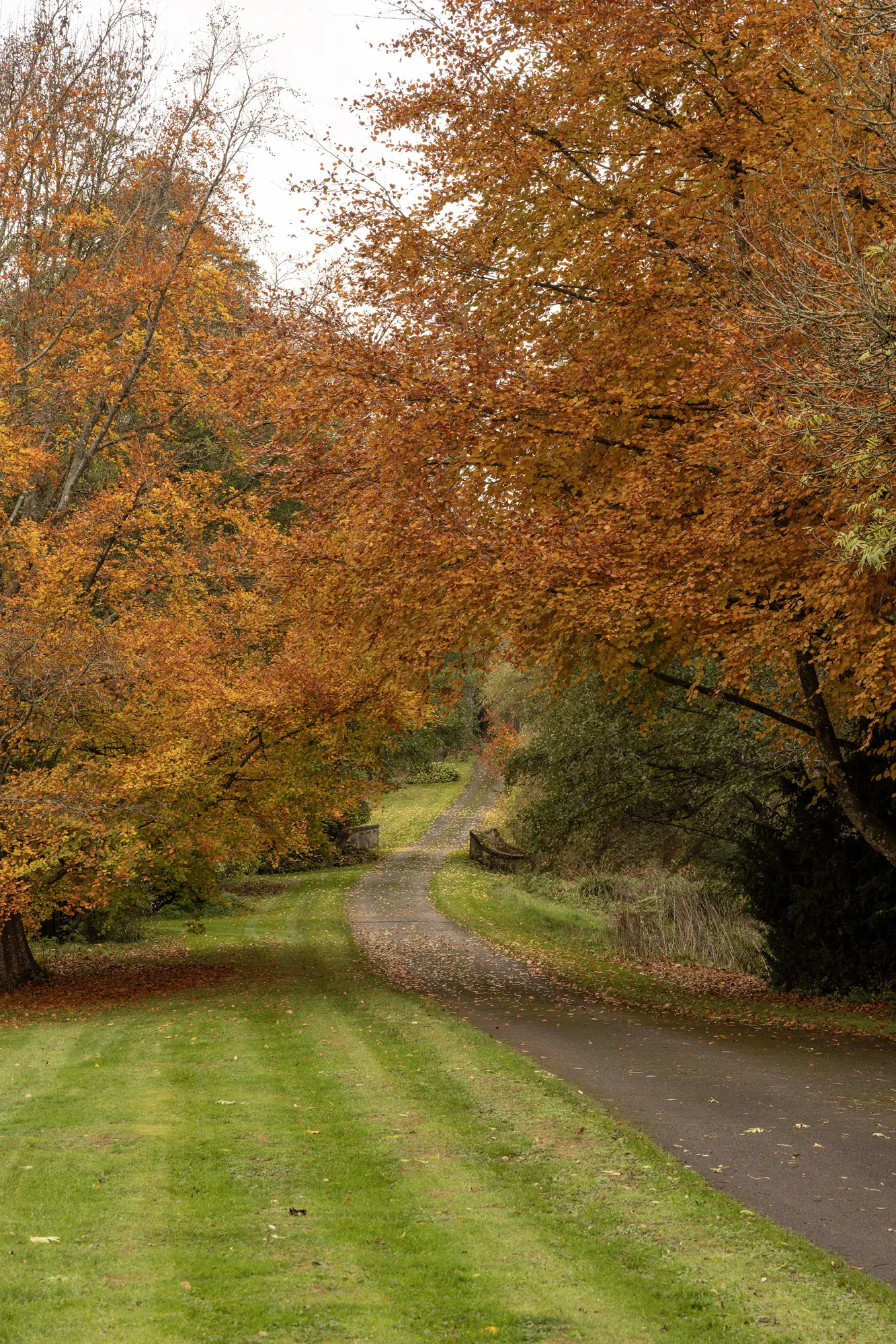Luxury-House-For-Holiday-Rent-The-Cotswolds-Cirencester-Kingsley-Manor