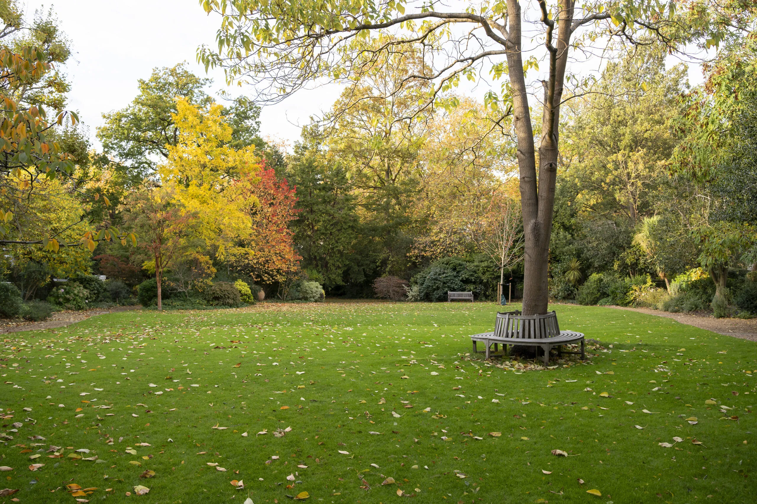 DN-Campden-Hill-Communal-Gardens-1_Lo