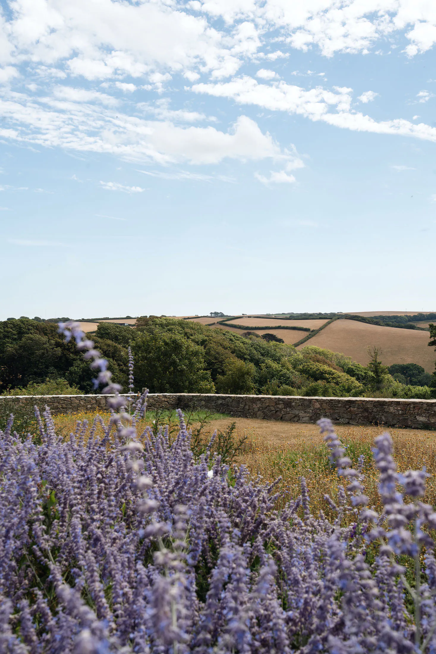 DS-Luxury-Holiday-House-To-Rent-Estuary-House-Salcombe-Devon (38)