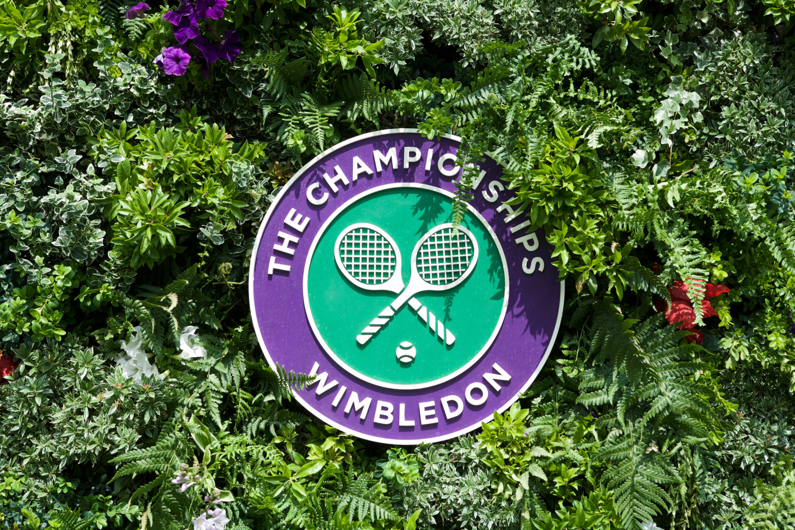 The Championships Wimbledon. Wimbledon tennis logo. Wimbledon logo.