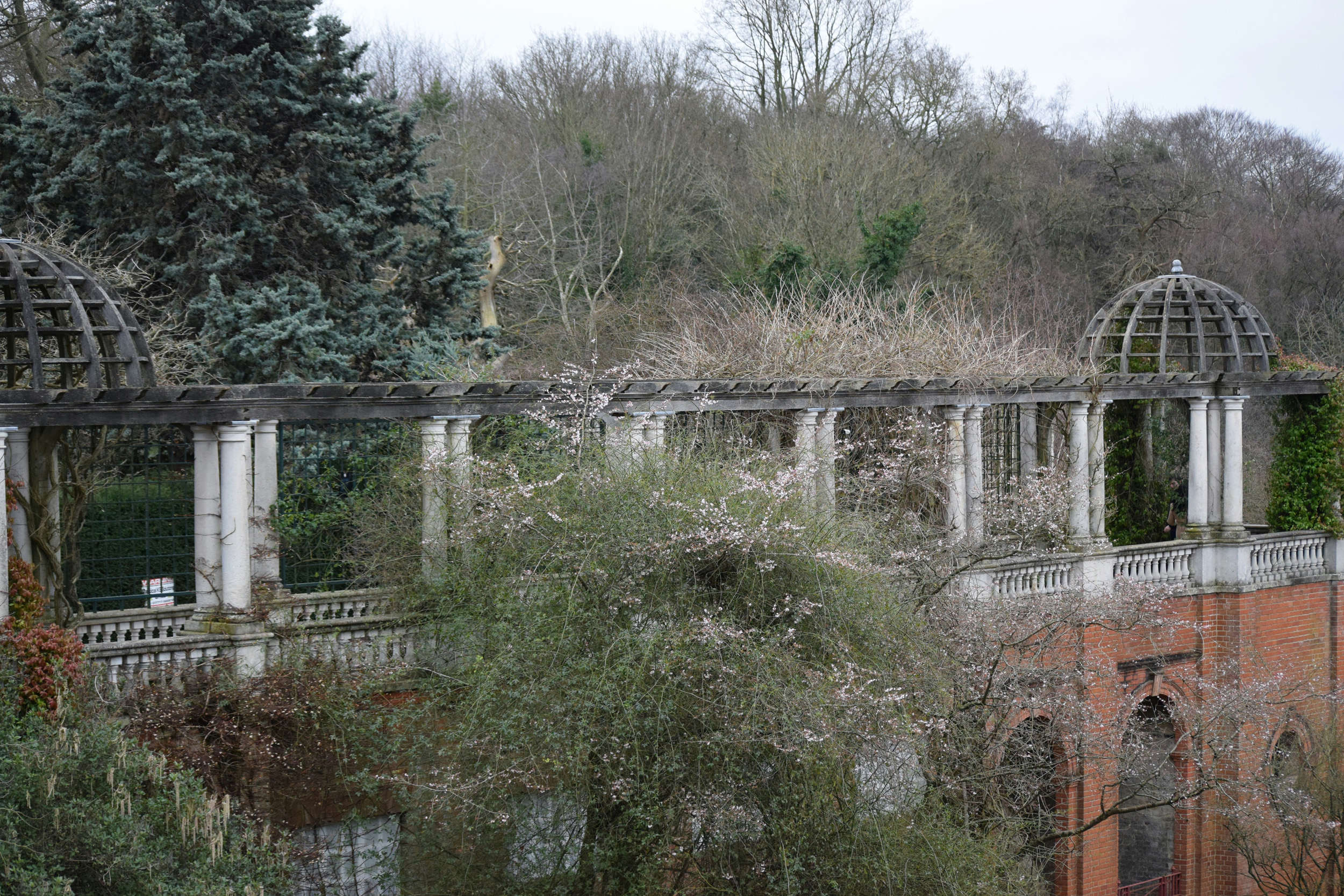 Hampstead-Area-guide-The-Pergola-Hidden-Garden-London