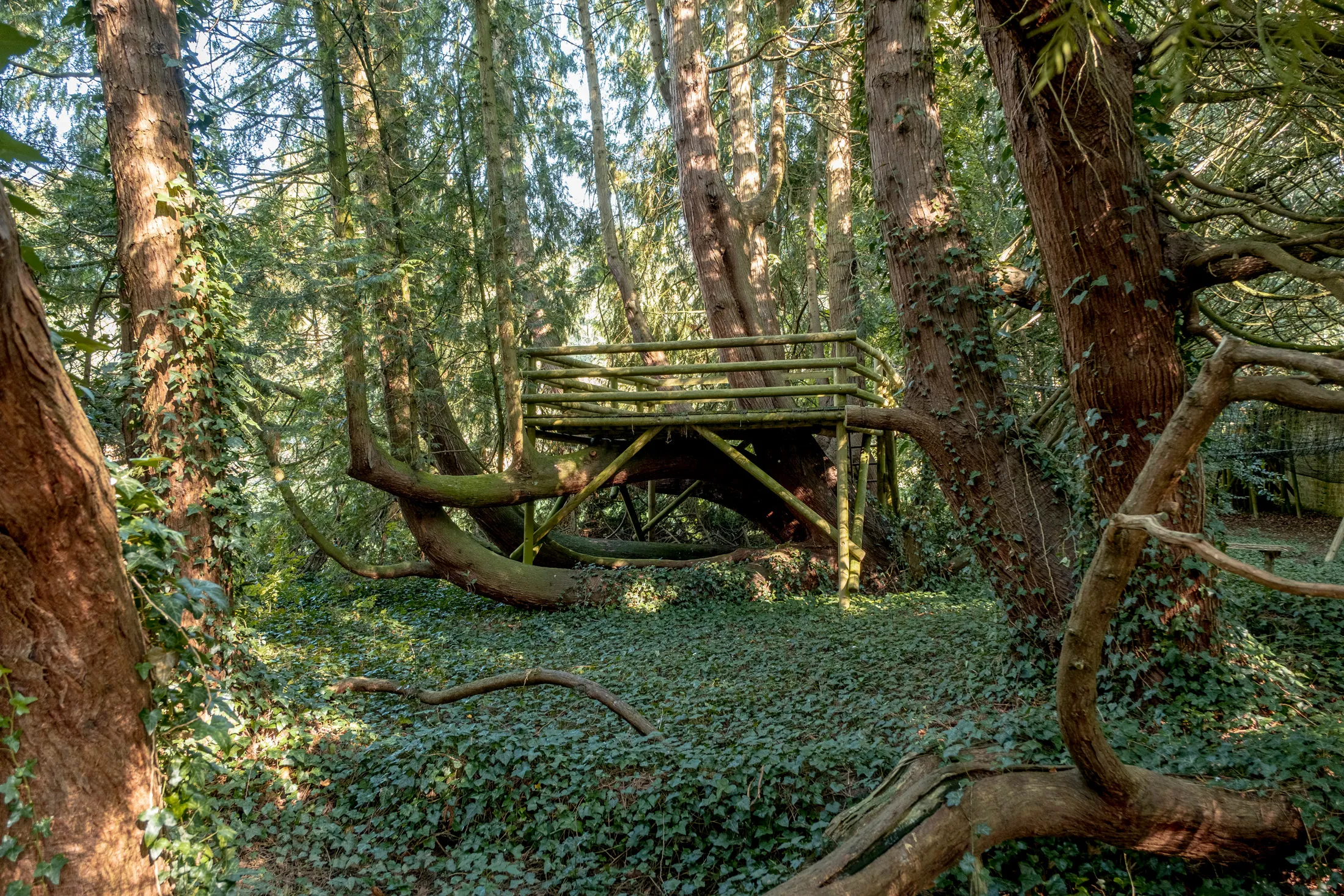 Luxury-Cotswolds-House-For-Holiday-Rental-Castle-Grove-Broughton (105)