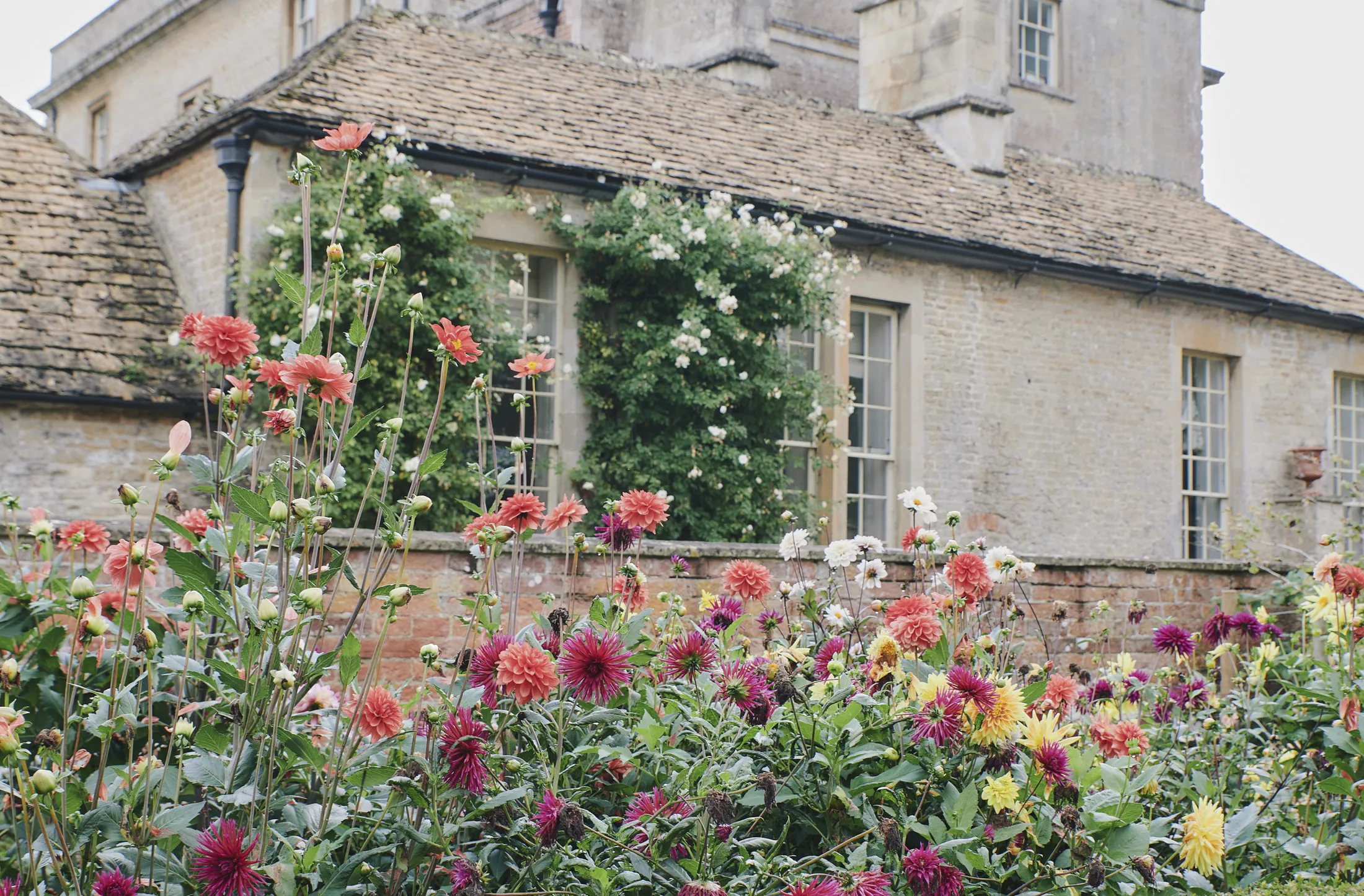 Stone cottage adorned with climbing vines and vibrant flower borders at Havenwood, a Domus Stay luxury short stay in The Cotswolds.