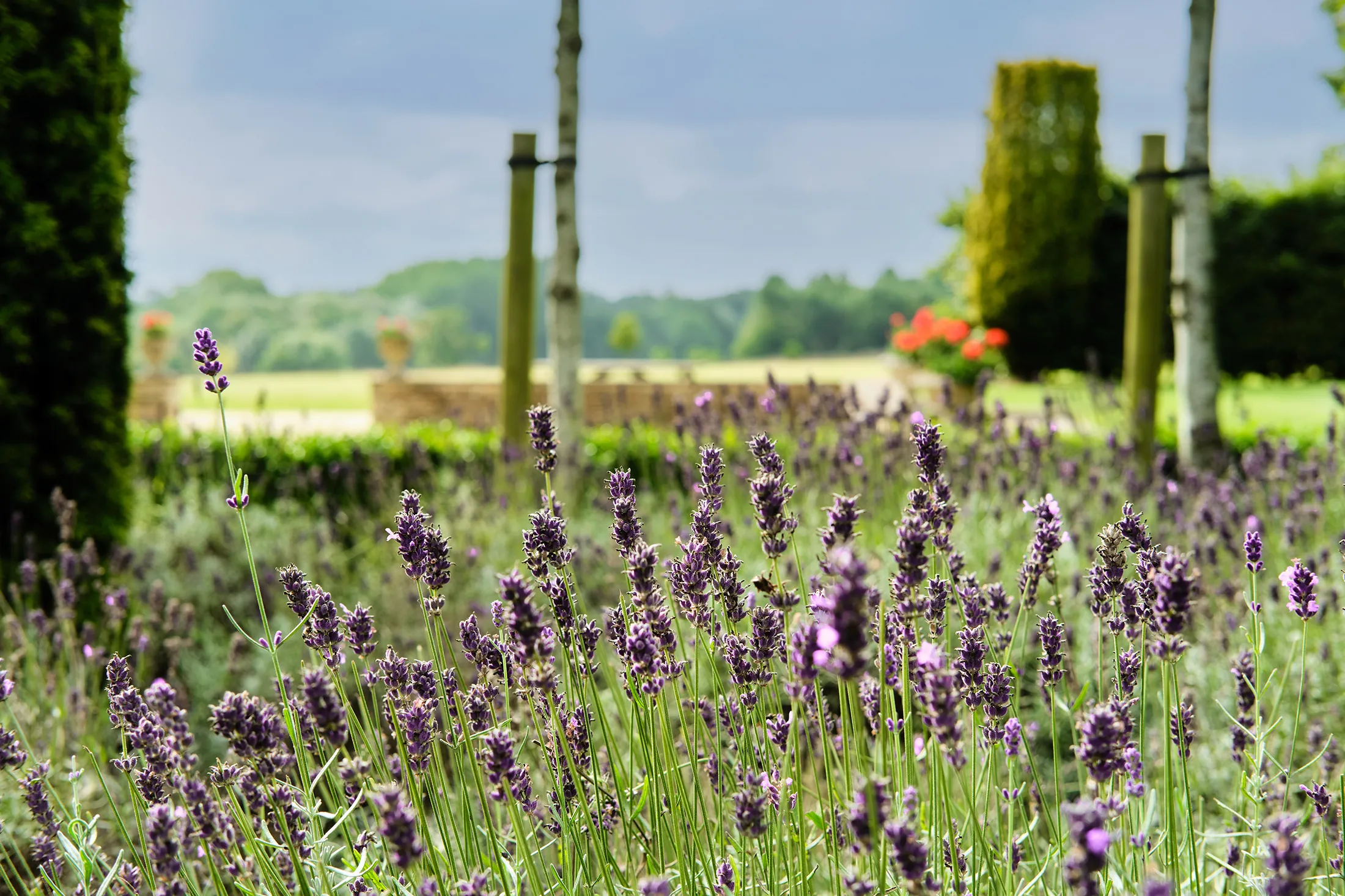 Luxury-Estate-For-Holiday-Rent-The-Cotswolds-Ashlar-Park (101)