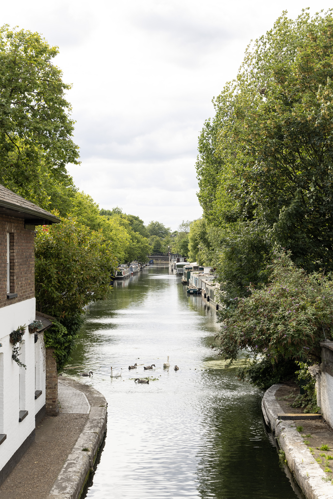 Maida-Vale-Little-Venice-Area-Guide-Canal (1)