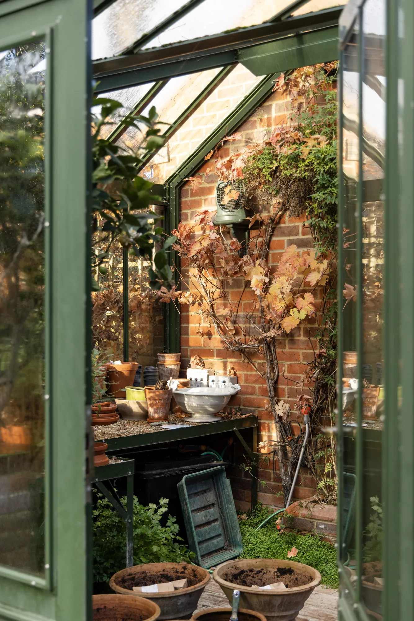 Putney-House-For-Rent-Woodborough-Road-34_Lo