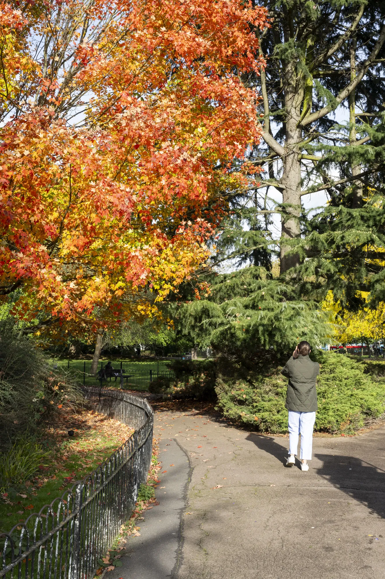 Shepards-Bush-Brook-Green-Best-Ravenscourt -Park (5) – Copy