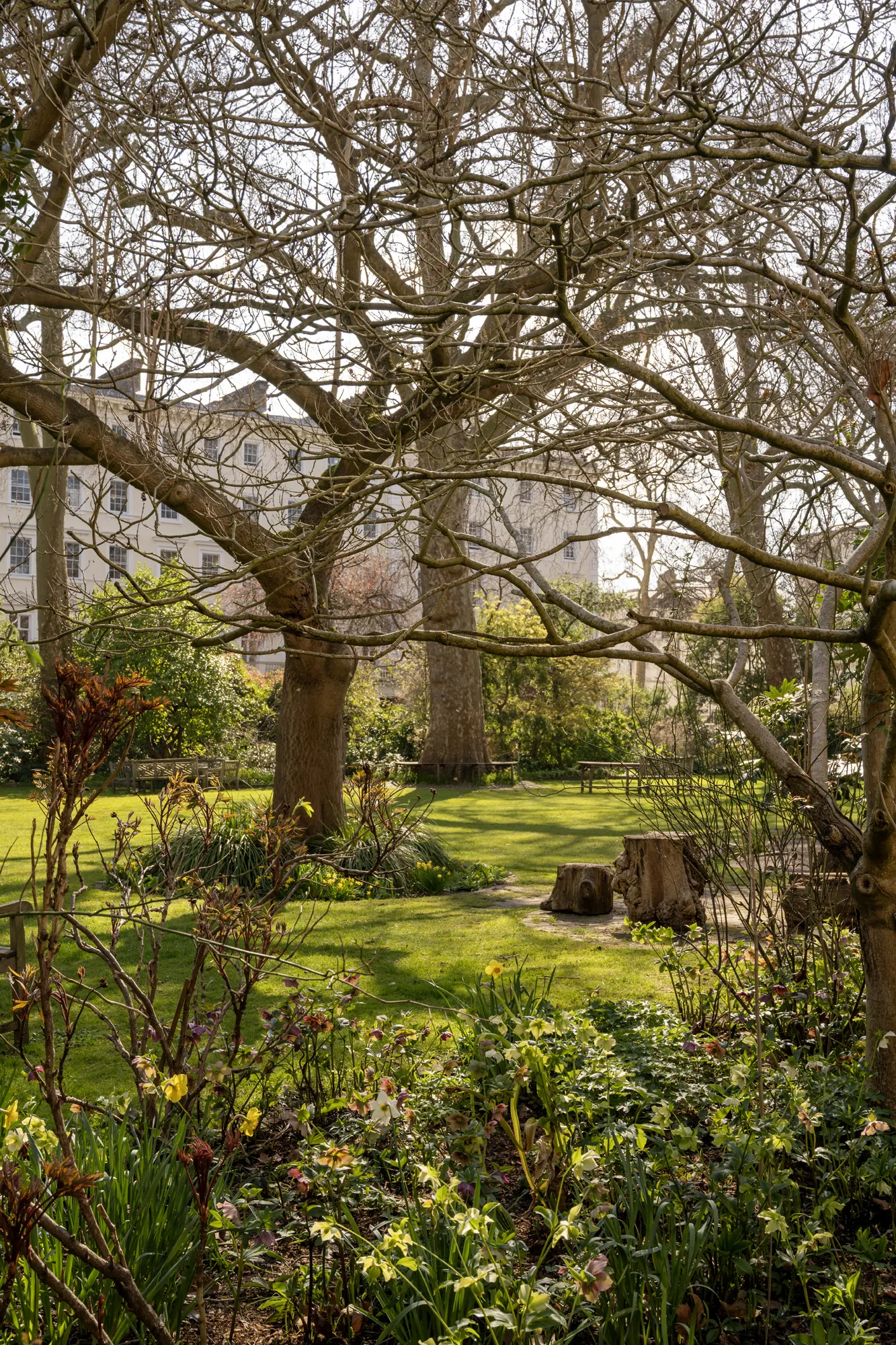 Victoria-House-For-Rent-Eccleston-Square-56_Lo