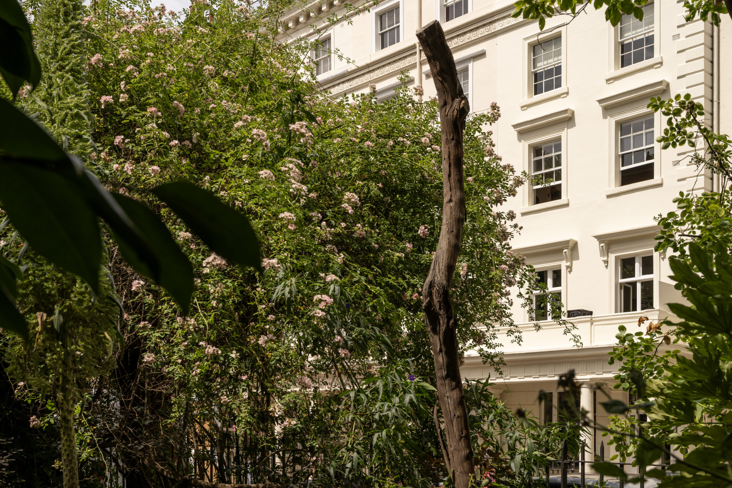 Victoria-House-For-Rent-Eccleston-Square-Reshoot-13_Lo