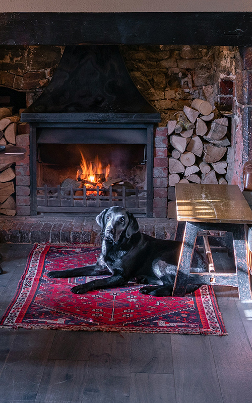 michael-cummins-bIAL7-ZnlLg-unsplash copy